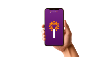 closeup hand holding blank screen mobile phone orange background